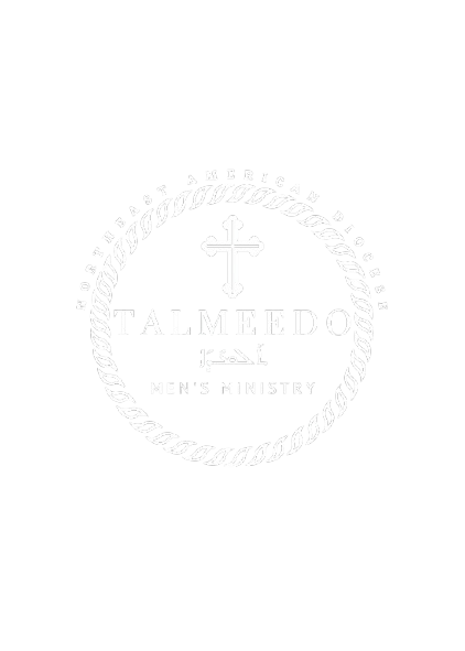 Talmeedo Logo